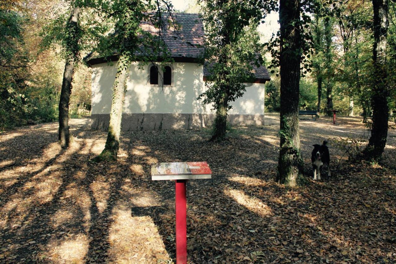 Gites D'Illfurth Exterior foto